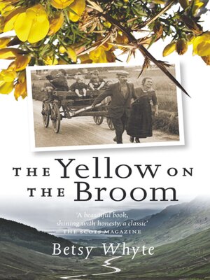 cover image of The Yellow on the Broom